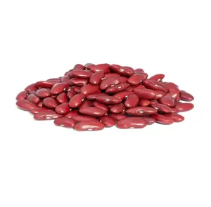 Frijoles rojos enlatados de la mejor calidad de grado premium ahora disponibles a granel para exportación mundial