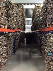 Dài cắt khô Norwegian cá tuyết khô cổ phiếu cá (Chiều dài: 45 đến 60 cm dài) cắt - Product Image 2