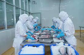 เค้กปลาที่มีคุณภาพราคาไม่แพง-ผ่านกระบวนการและบรรจุอย่างเข้มงวดการจัดหาที่เชื่อถือได้จากเวียดนาม - Product Image 5