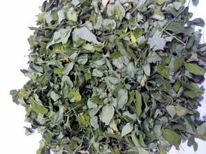 Feuilles de Moringa séchées naturellement du Vietnam, directement de l'usine, pour le remplissage de sachets de thé, l'emballage en vrac et l'étiquetage privé - Product Image 3