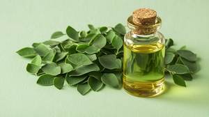 Huile de support de Moringa 100% pure et naturelle de qualité supérieure en provenance d'Inde Meilleure vente au monde - Product Image 5