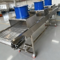 Convoyeur à chaîne à plaques en acier inoxydable 304 de qualité alimentaire pour la ligne de production et de transformation des emballages alimentaires et des boissons