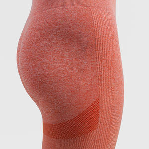 Leggings de Cintura Alta para Mujer, Conjunto de Yoga, Gimnasio y Fitness, Venta al Por Mayor de Fábrica para Otoño e Invierno, Estilo Europeo y Estadounidense - Product Image 6