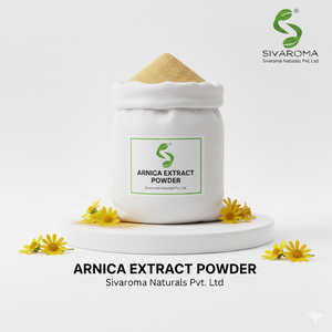 Poudre d'extrait d'arnica commerciale développée pour les marques de soins de la peau et la fabrication de produits de beauté industriels - Product Image 5