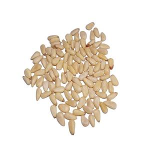 ราคาโรงงาน ถั่วสนไซบีเรีย ชิลโกซา ราคาถั่วสน - Product Image 1