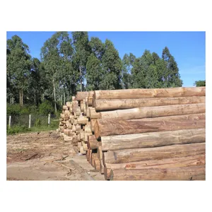 Eucalyptus wood round Logs For Making Furniture With Reasonable Price Origin Vietnam