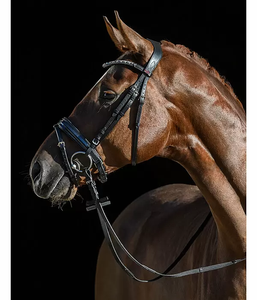 Brida de Cuero para Caballo, Color Bronceado, con Banda Nasal y Frontal Acolchada Suave, Riendas de Cuero Trenzado - Product Image 6