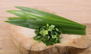 FEUILLES DE PANDAN CONGELÉES DE HAUTE QUALITÉ/SAVEUR NATUREL/UTILISATION DANS L'INDUSTRIE ALIMENTAIRE/EMBALLAGE EN VRAC - Product Image 5