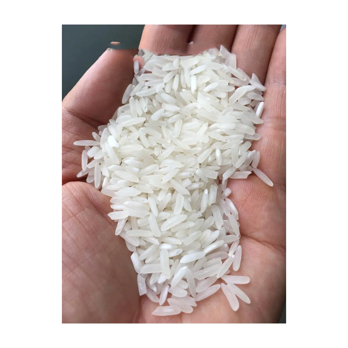 Жасминовый рис, длиннозерный пропаренный рис, жасминовый рис