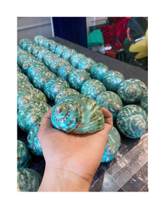 Carcasa Turbo Premium para colecciones de conchas marinas y diseños creativos con patrones naturales - Product Image 1