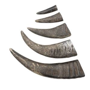 Tinh Khiết Trâu Sừng Con Chó Chew Cho Vật Nuôi Nha Khoa Làm Sạch Tự Nhiên Nhai Đồ Chơi Cho Chó Vừa - Product Image 6