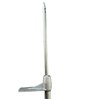 Lance de pulvérisation/pistolet d'injection d'engrais liquide chimique ILOT 98CM pour l'élimination des termites, etc. Contrôle des parasites dans le sol