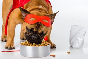 Cuenco de agua de alimentación elevado grande de lujo personalizado al por mayor, cuenco de metal de estilo único para perros y gatos, patrón de animales pequeños - Product Image 4