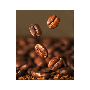 เมล็ดกาแฟคั่วอาหรับสีดำจำนวนมาก - Product Image 2