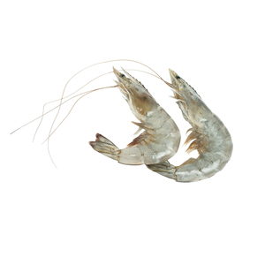 Camarones Vannamei frescos congelados Anguilas vivas de buena calidad Mariscos deliciosos - Product Image 3