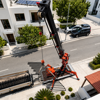 Grue araignée Tonlita électrique diesel 3t 3 tonnes télécommandée, conforme aux normes EPA CE Euro 5, mini-grue araignée sur chenilles