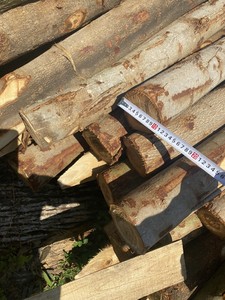 Piquets en bois d'eucalyptus, piquets de jardin en bois, piquets de soutien pour plantes, bâtons en bois naturel ronds pour le jardinage, l'agriculture et l'aménagement paysager - Product Image 5