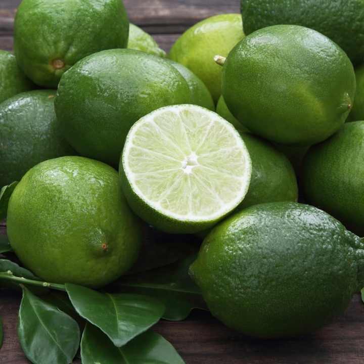 Fresh Green Lemon for Sale Wholesale Premium Farm Fresh Supply Best Price Natural and Juicy Fresh Green Lemon