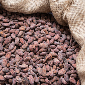Bulk Dry Cocoa <b>Beans</b> With Low Moisture Content Ideal For Long Distance Export - Product Image 3