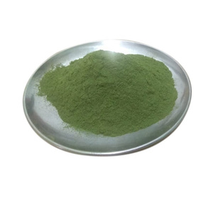 Polvo de hoja de cilantro crudo secado al aire Hojas de cilantro recién procesadas - Product Image 3