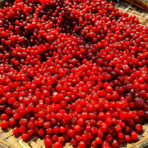 TAMARINDO SECO-PRODUCTOS SUPERIORES DE ALTA CALIDAD, NATURALES Y DELICIOSOS PARA CADA HOGAR - Product Image 5