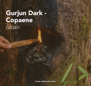 Aceite Esencial Orgánico de Gurjun Oscuro - Copaene (GB-001) Aroma a Vainilla - Product Image 1