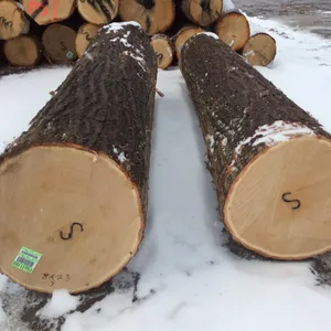 Beech Wood Logs / Sawn Spruce Wood Logs Pine Wood timber for sale