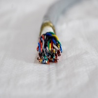 Cable de Control Tanya de 10 AWG, Conductor de Cobre Plateado, 24V, IP40, Envuelto en Cinta de PTFE de 0.2mm, para Electrónica