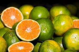 FROZEN CALAMANSI JUICE CONCENTRATE NATURAL CLEAN LABEL <b>PLANT</b> BASED <b>CITRUS</b> FROM VIETNAM - Product Image 6