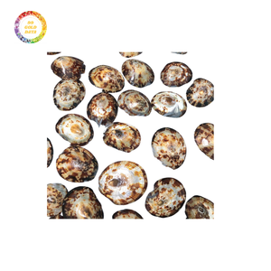 Fournisseur en gros de coquilles de lipet de qualité supérieure offrant des offres rentables avec une excellente qualité pour les matériaux d'artisanat - Product Image 1