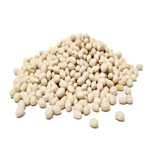 Acheter des haricots blancs bon marché | Haricots blancs foncés de forme longue à vendre | Fournisseur en vrac de haute qualité - Product Image 6