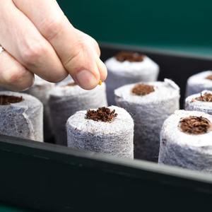 Semoir de semis, dosette de semis, accessoires de démarrage de pépinière, bouchons de menthe coco, systèmes hydroponiques de plantation à vendre - Product Image 6