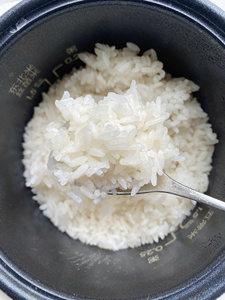 ข้าวคาลโรสพรีเมียม เมล็ดกลาง ข้าวเหนียวขาว คุณภาพสูง สำหรับขายส่ง - แม็กซ์ไรซ์ - Product Image 4
