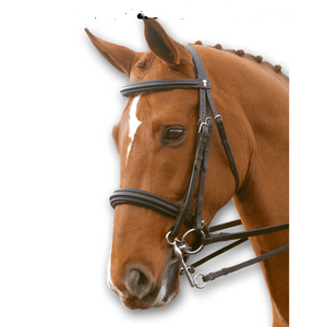 Brida Weymouth doble elevada - Product Image 2