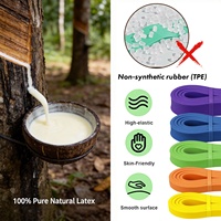 Bandas de Resistencia VIGFIT de Nuevo Color para Ejercicios de Estiramiento y Entrenamiento Corporal, Juego de Bandas de Resistencia Gruesas y Resistentes