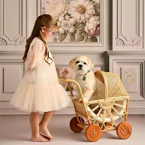 Carrito de mano de ratán de moda de alta calidad, carro rectangular ecológico para niños y mascotas, carro de muñeca de mimbre de Vietnam - Product Image 2