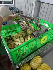 Piña IQF de alta calidad, piña congelada de Vietnam, piña IQF limpia pelada para restaurantes, catering y comercio mayorista - Product Image 6