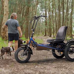 รถสามล้อไฟฟ้ารุ่นใหม่ล่าสุด ZYCLE Z500 สำหรับผู้ใหญ่, มอเตอร์ไฟฟ้าด้านหลัง 750W, แบตเตอรี่ 48V*15Ah ระยะทาง 40 ไมล์ - Product Image 4