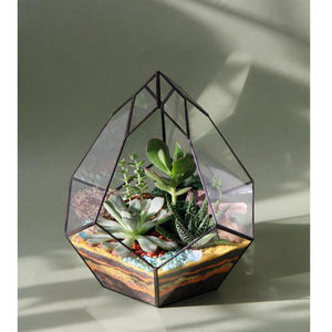 Terrario de cristal transparente de diseño moderno de alta calidad, jarrón geométrico de Color negro, maceta para decorar jardín y hogar, balcón multiusos - Product Image 1