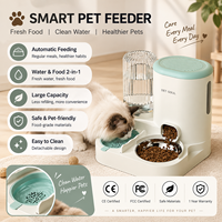 Distributeur automatique de nourriture pour animaux de compagnie, fontaine à eau, bol pour nourriture, station d'alimentation intérieure