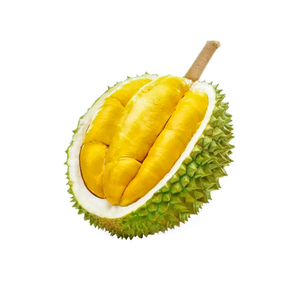 Vente en gros de durian congelé de haute qualité à bon prix exporté du Viet Nam - Product Image 1