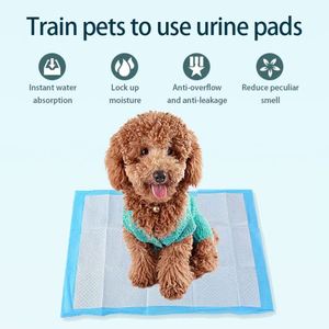Muestra Gratis: Almohadillas Absorbentes para Perros de 5 Capas, a Prueba de Fugas, Adhesivas, Tamaño Extra Grande, para Entrenamiento de Cachorros, Desechables - Product Image 4