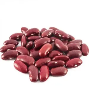 High quality Natural sparkle beans, Dry Light Beans Good, Bulk White Speckled Kidney beans
