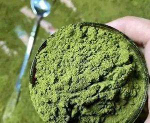 POLVO DE PENNYWORT DE CALIDAD/POLVO DE HOJA DE CENTELLA ASIATICA 100% NATURAL A UN PRECIO RAZONABLE - Product Image 1