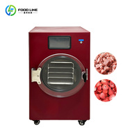 Huishoudelijke kleine vriesdroogapparatuur, desktop vriesdroger voor fruit en groenten
