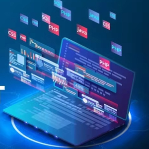 包裹递送服务网站的低成本网页设计和开发服务 - Product Image 1