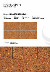 Carreaux de mur extérieurs en porcelaine 300x600mm, style moderne - Product Image 1