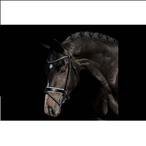 Vente en gros de bride de cheval en cuir véritable de fabricants Vente en gros de bride de cheval en cuir véritable de haute qualité - Product Image 4