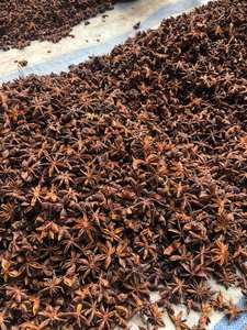 โป๊ยกั๊กเครื่องเทศคุณภาพสูงทรงแปดเหลี่ยมเครื่องเทศโป๊ยกั๊กเวียดนาม - Product Image 5