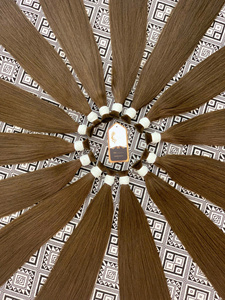 Monde Cheveux Vietnamien Vierge Droite Cheveux Humains 100g Extensions En Vrac Double Dessiné Pleines Extrémités Doux Lisse Texture Salons - Product Image 5